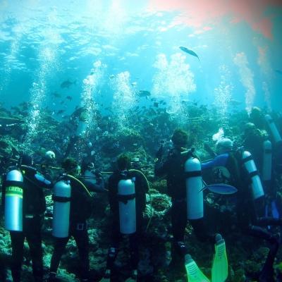 Un grupo de adolescentes buceando durante su voluntariado ambiental para jóvenes en Fiyi. Jóvenes voluntarios buceando en nuestro Voluntariado de Conservación de Tiburones.